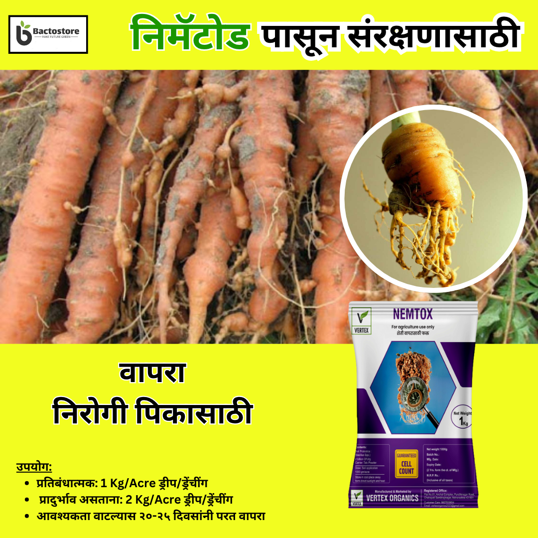 Nematode control in Carrot