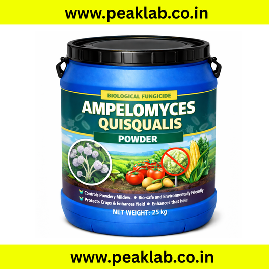 Ampelomyces quisqualis powder 25 Kg Drum