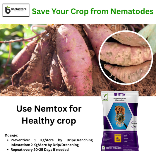 Nematode control in Sweet Potato