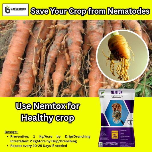 Nematode control in Carrot
