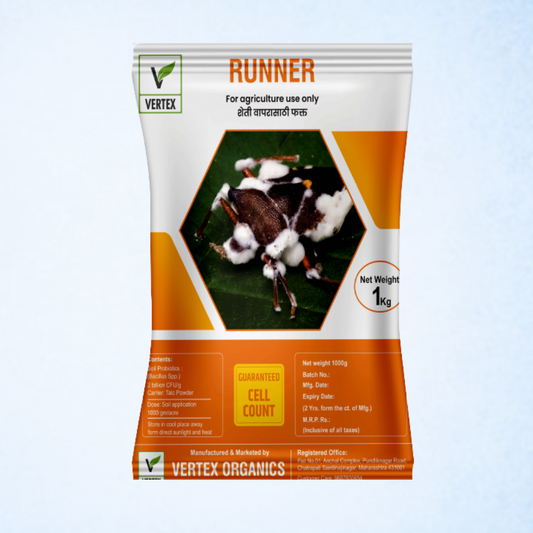Runner 1 Kg Packet (Talc)