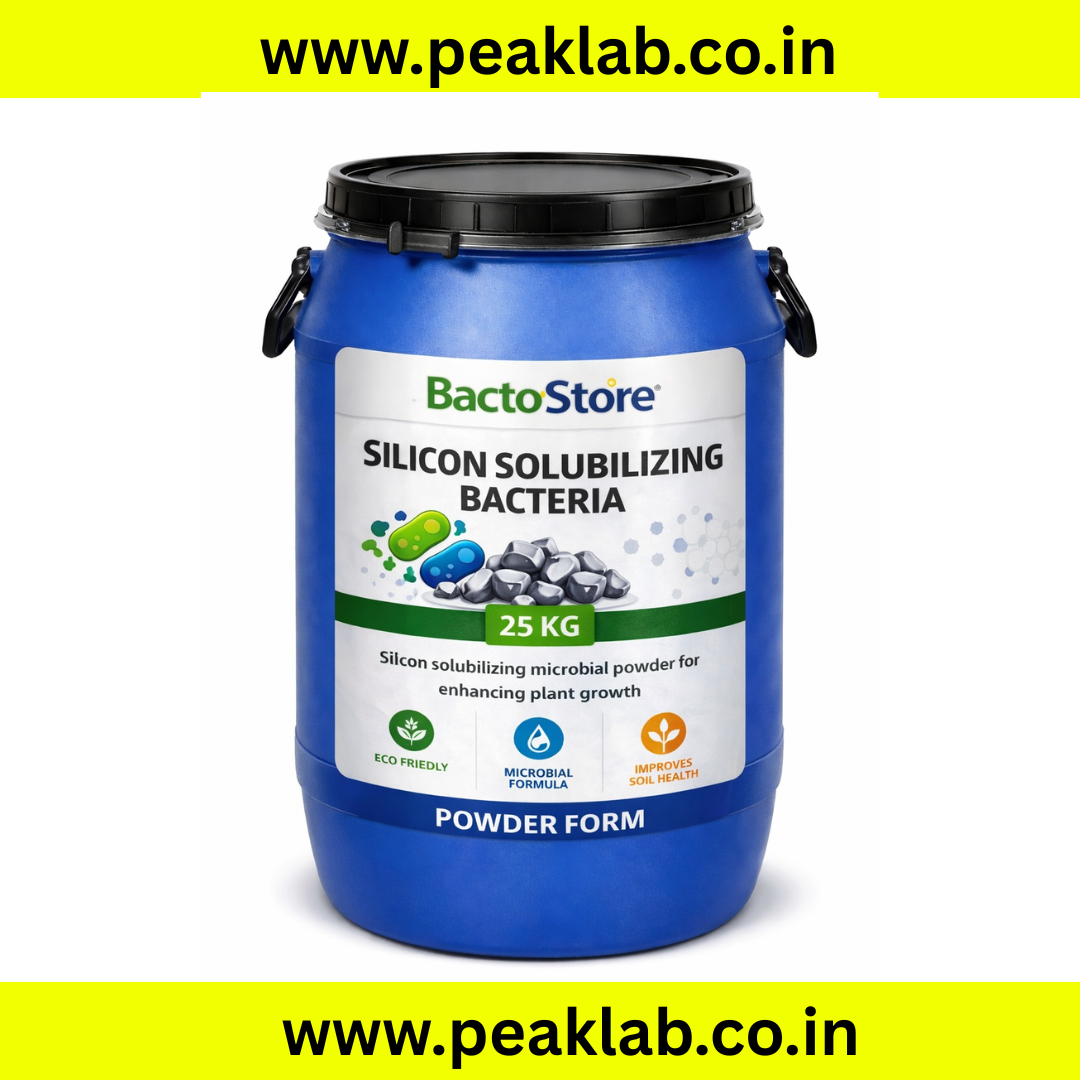 Silicon Solubilizing Bacteria (SSB) 25 Kg drum