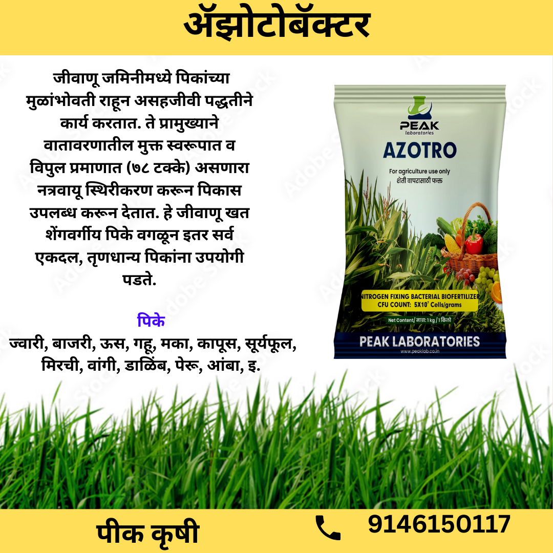 ಅಜೋಟ್ರೋ: ಅಜೋಟೋಬ್ಯಾಕ್ಟರ್ 1 ಕೆಜಿ ಪ್ಯಾಕೆಟ್ (ಟಾಲ್ಕ್) 