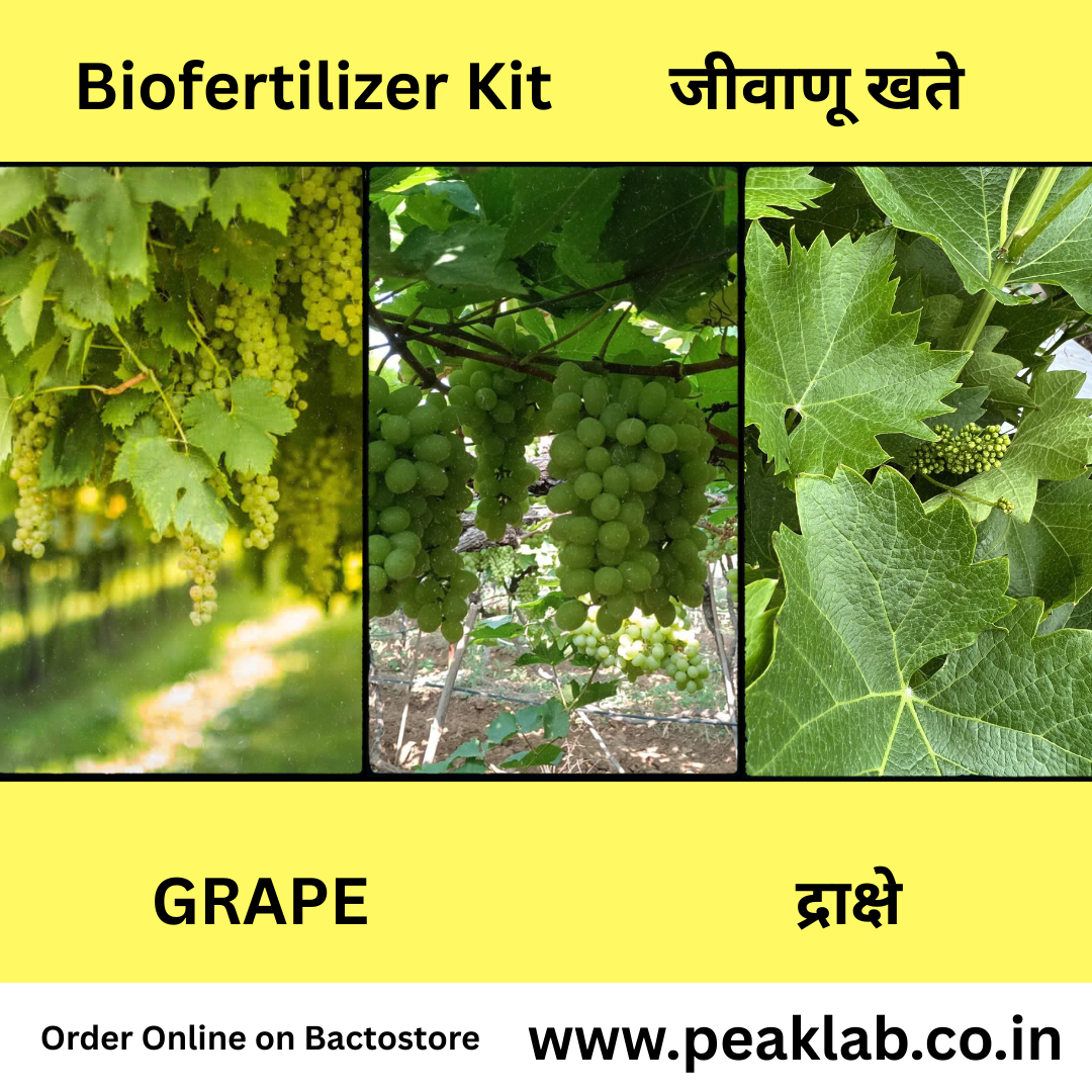 Grape Biofertilizer Kit