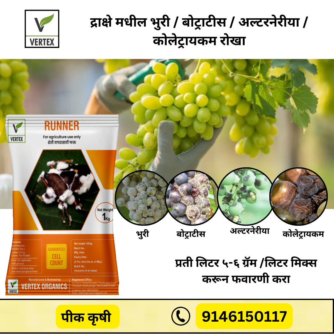 Grape Biofertilizer Kit