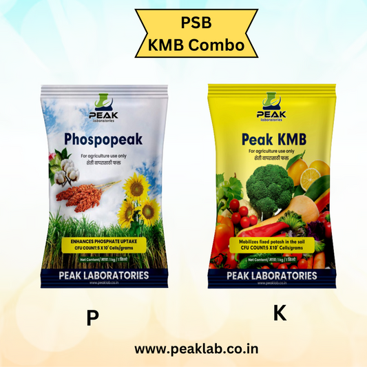 PSB KMB COMBO KIT (Talc)