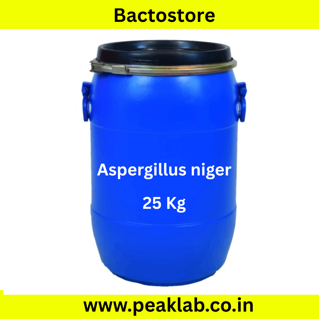 Aspergillus niger Powder 25 Kg Drum