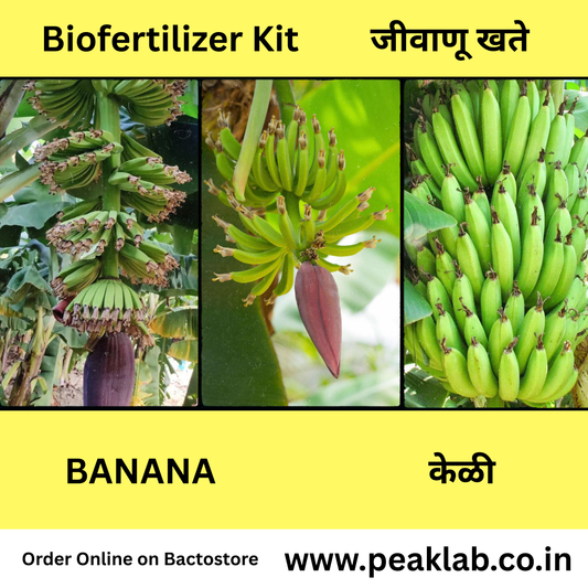 ಬಾಳೆಹಣ್ಣಿನ ಜೈವಿಕ ಗೊಬ್ಬರದ ಕಿಟ್ ಉಚಿತ ಸಾಗಾಟ