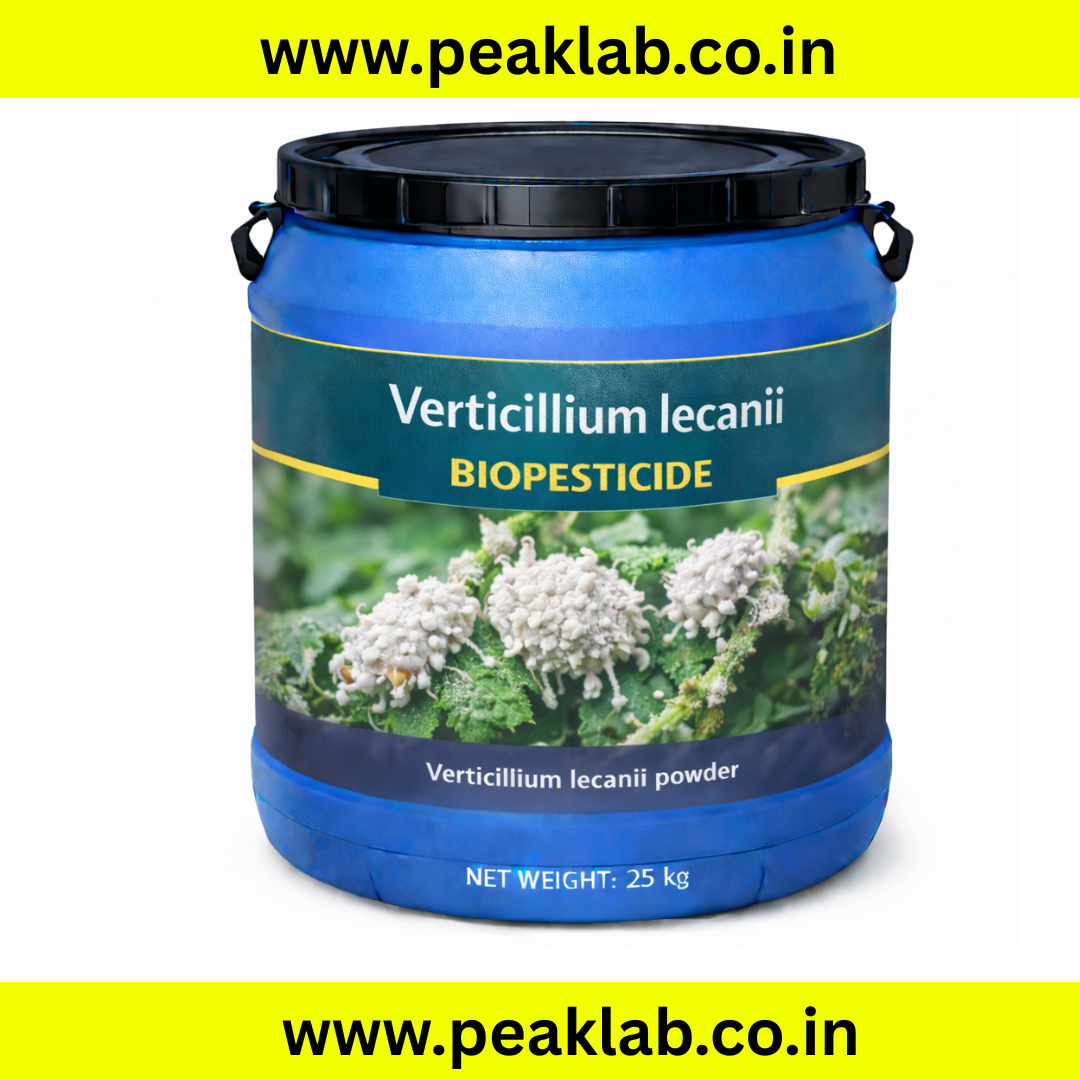 Verticillium Lecanii Powder 25 Kg Drum