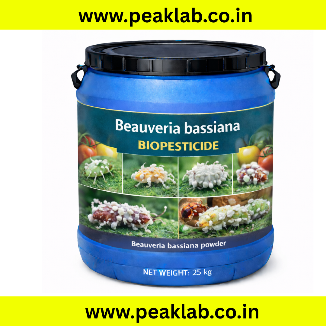 Beauveria Bassiana powder 25 Kg drum