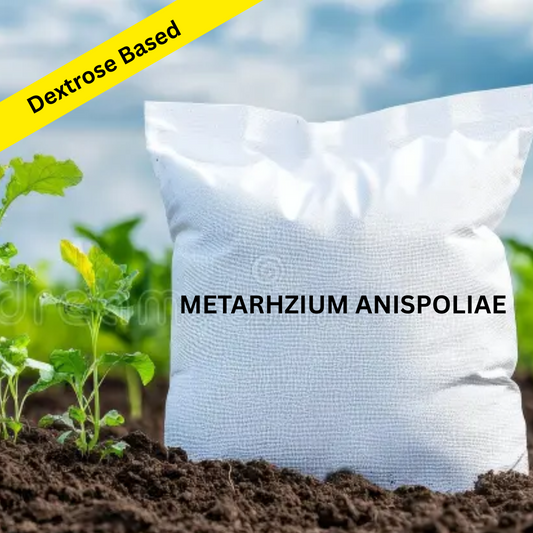 Dextrose Based Metarhizium anisopliae Powder Formulation (100 % Water Soluble)