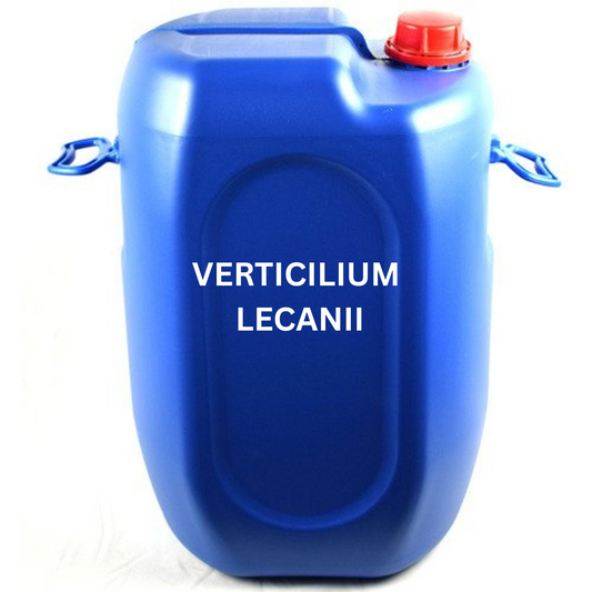 Verticilium Lecanii Liquid Biofertilizer