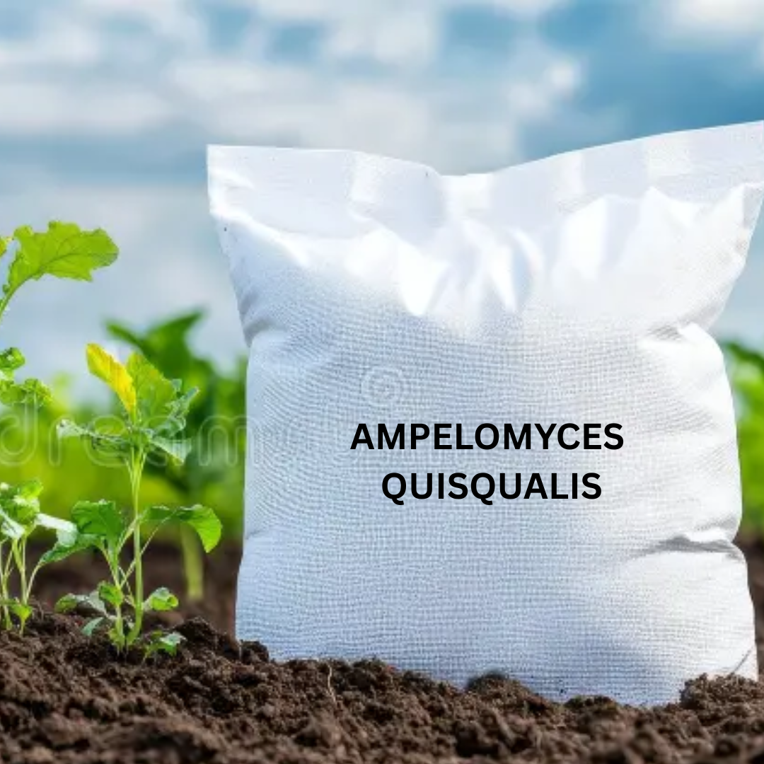 Ampelomyces quisqualis Powder Formulation (Water Insoluble) Talc Based Powder