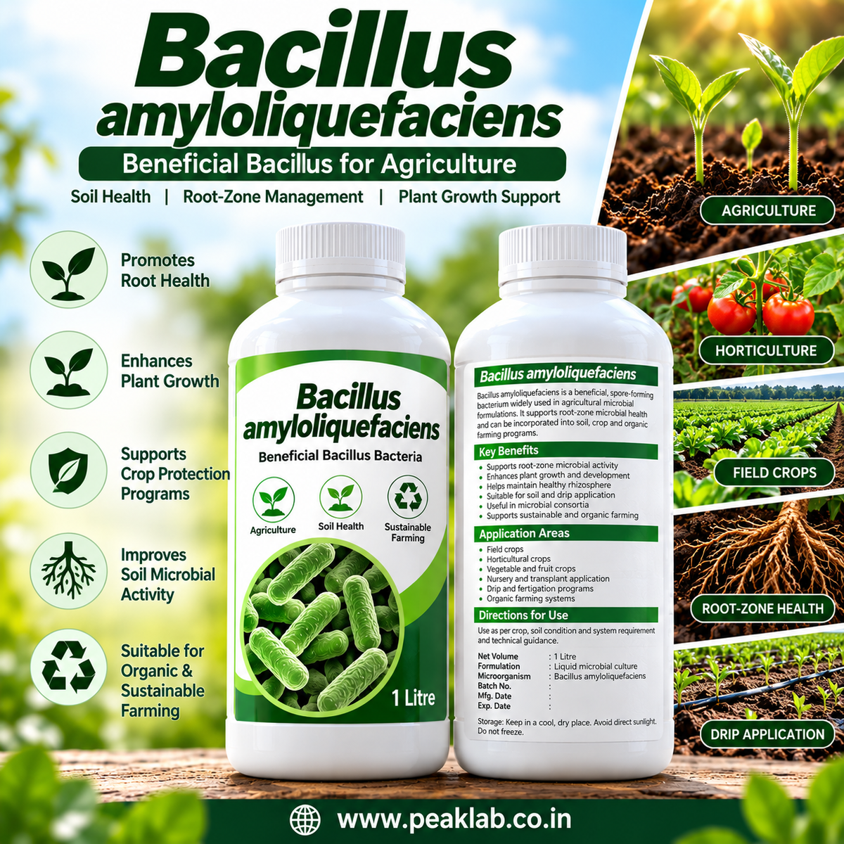 Bacillus amyloliquefaciens 1 Litre | Agricultural Bacteria Supplier India