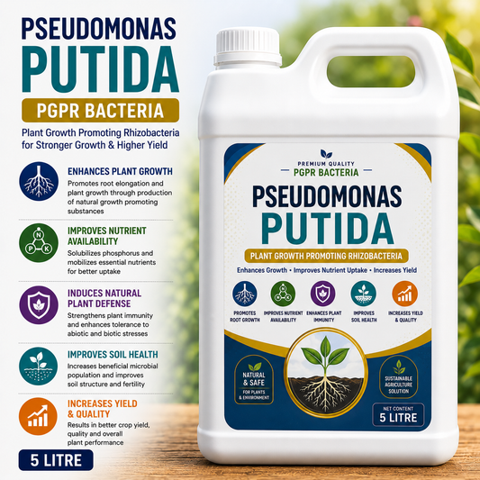 Pseudomonas putida 5 litre can