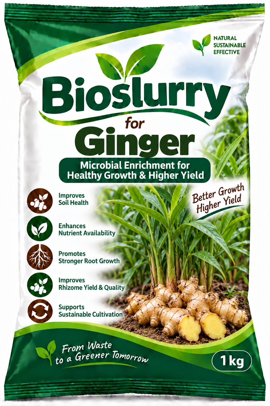 Bioslurry for Ginger