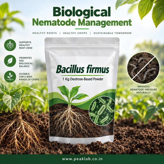 Bacillus firmus 1 Kg Dextrose-Based Powder – Biological Nematode Management