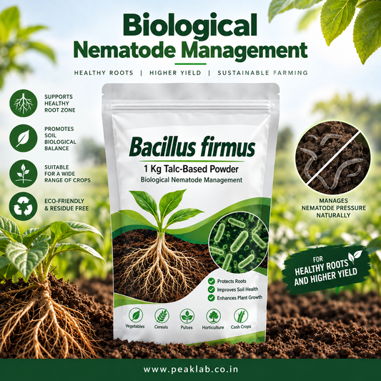 Bacillus firmus 1 Kg Talc-Based Powder – Biological Nematode Management