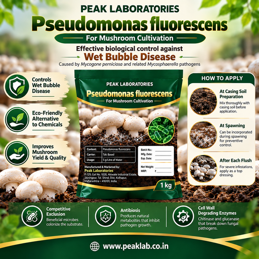 Pseudomonas fluorescens for Mushroom Cultivation