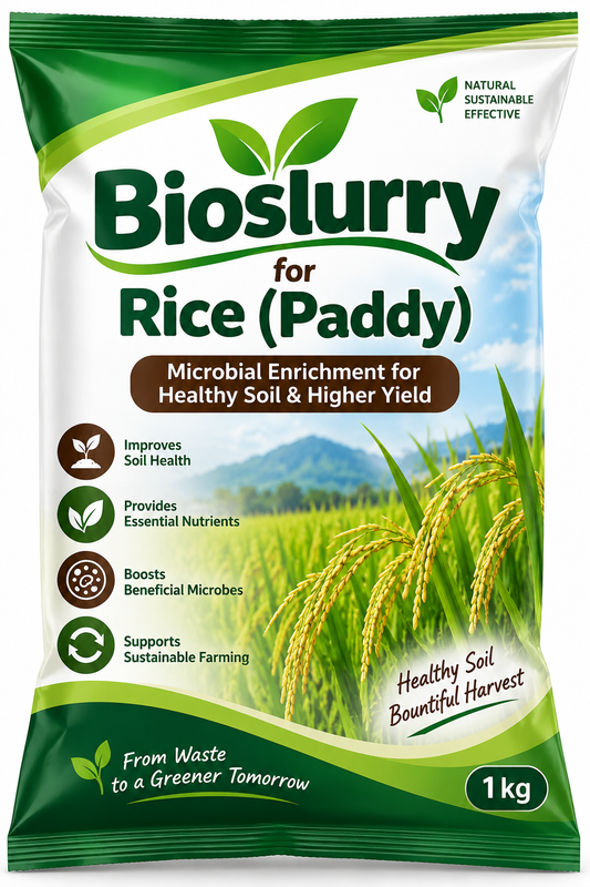 Bioslurry for Rice (Paddy)