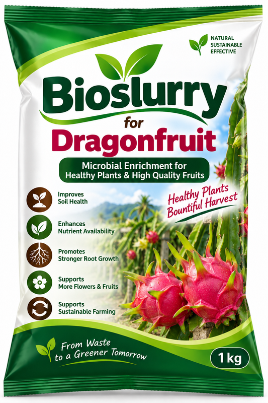 Bioslurry for Dragonfruit