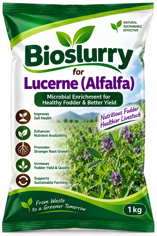 Bioslurry for Lucerne (Alfalfa)