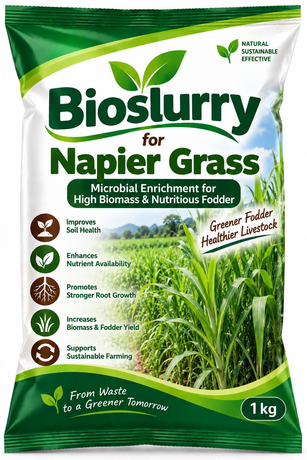 Bioslurry for Napier Grass