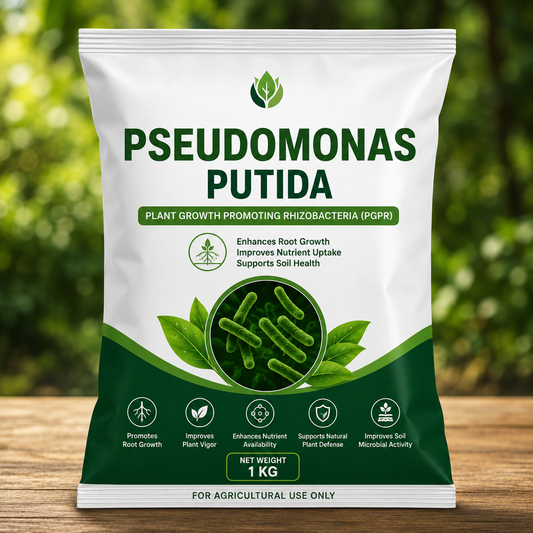 Pseudomonas putida water soluble powder 1 kg