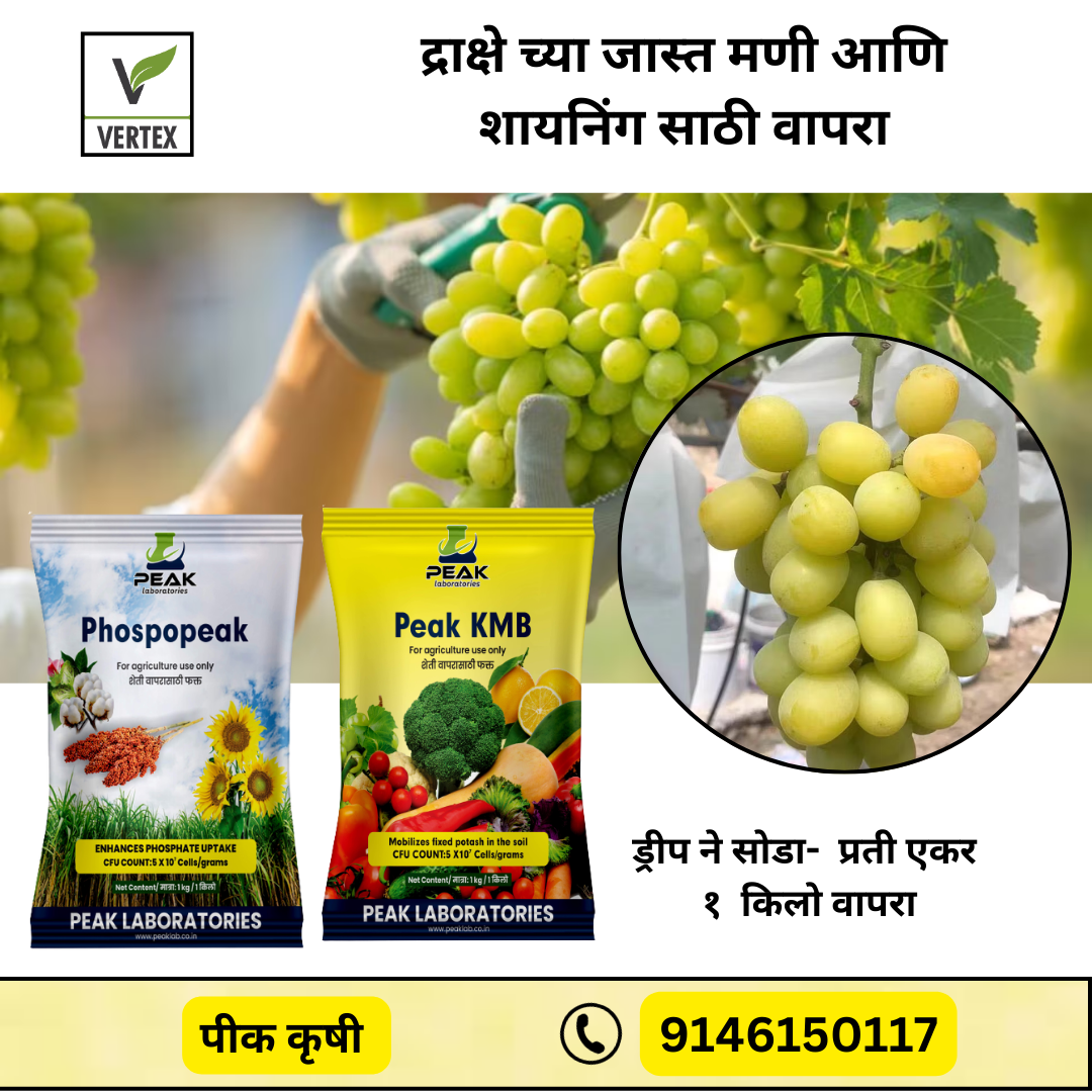 Grape Biofertilizer Kit