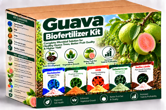 Guava Biofertilizer Kit
