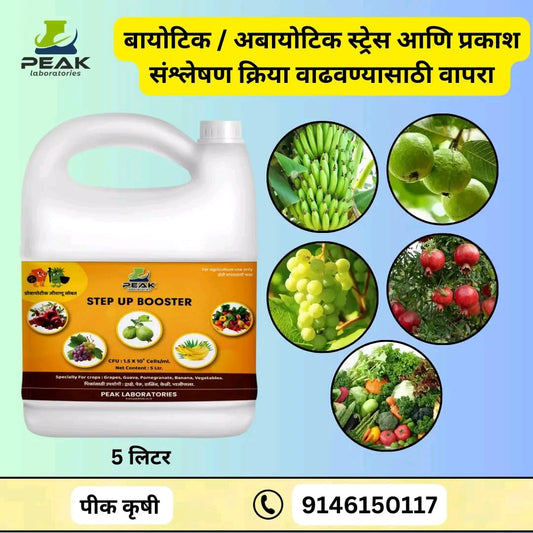 EM1 Solution एम १ सोलुशन