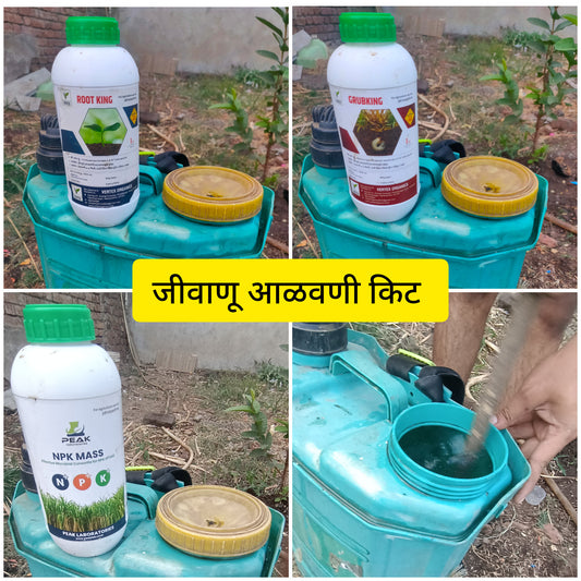 एनपीके मास रूट किंग विबिकिंग कॉम्बो