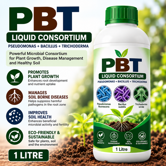 PBT3X Conso