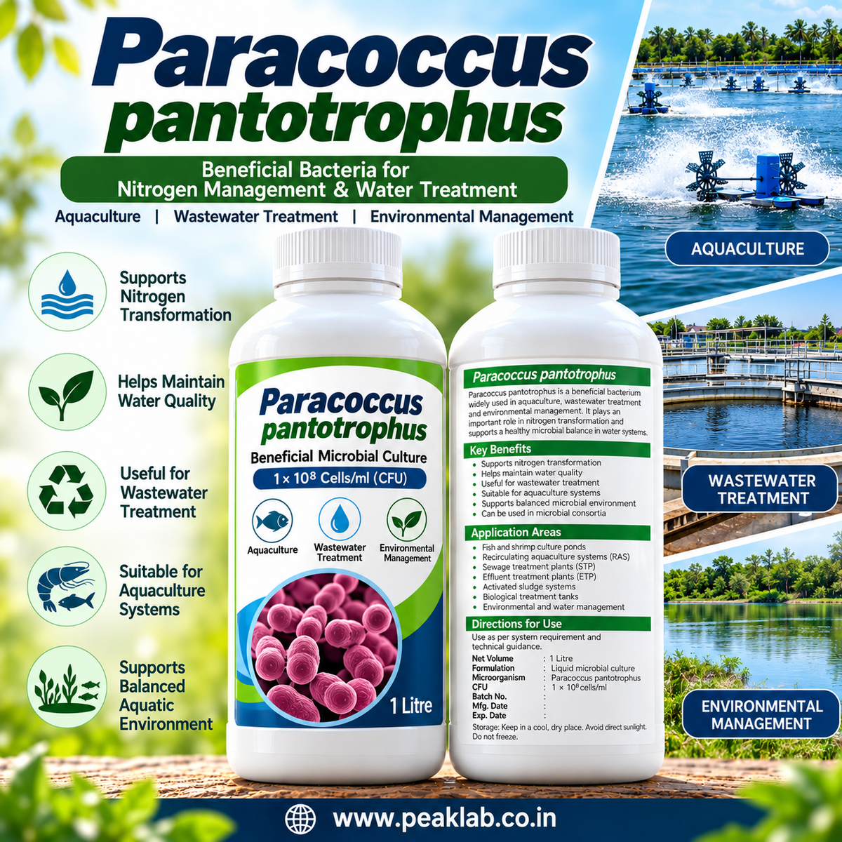 Paracoccus pantotrophus  1L | Aquaculture &amp; Wastewater Management