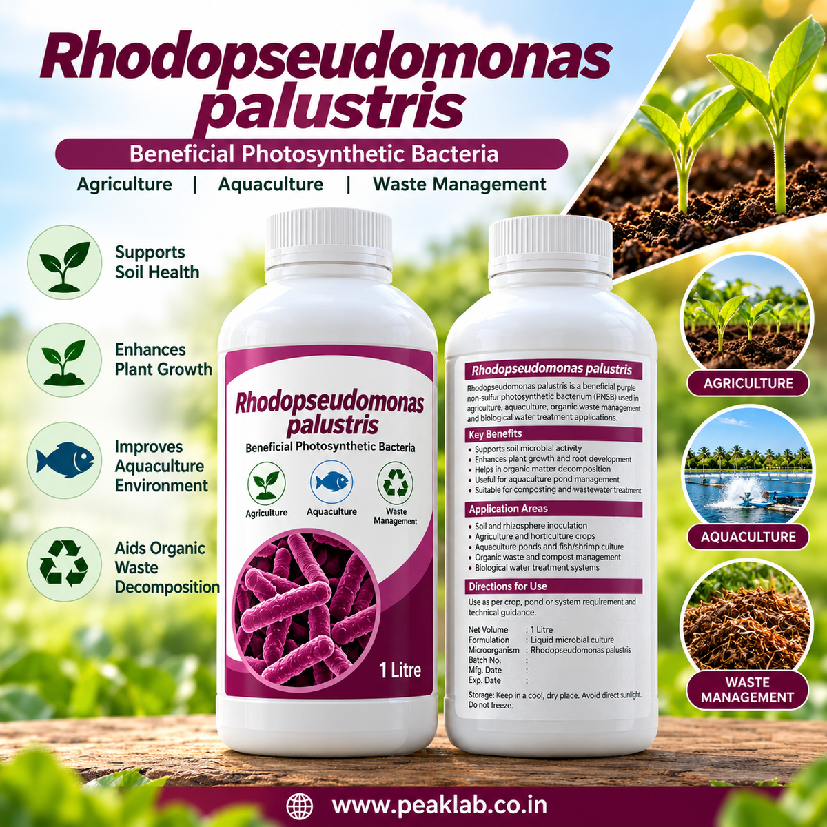 Rhodopseudomonas palustris 1 Litre | Photosynthetic Bacteria