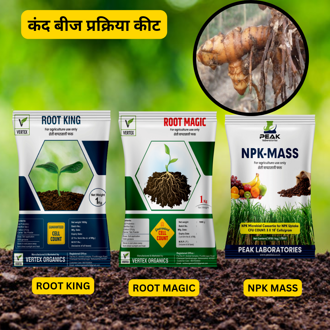 हळद कॉम्बो Biofertilizer Combo for Turmeric  FREE SHIPPING