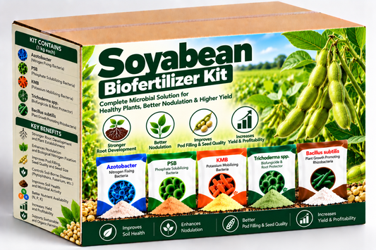 Soyabean Biofertilizer Kit