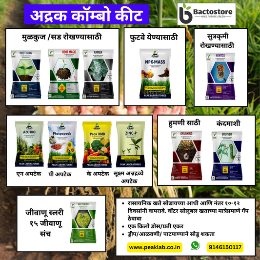 अदरक मुफ़्त शिपिंग के लिए एले सिन्डेन बायोफर्टिलाइज़र कॉम्बो