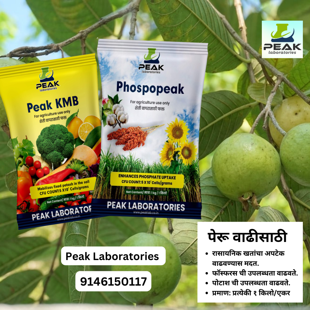 Guava Biofertilizer Kit पेरू जीवाणू खते कीट