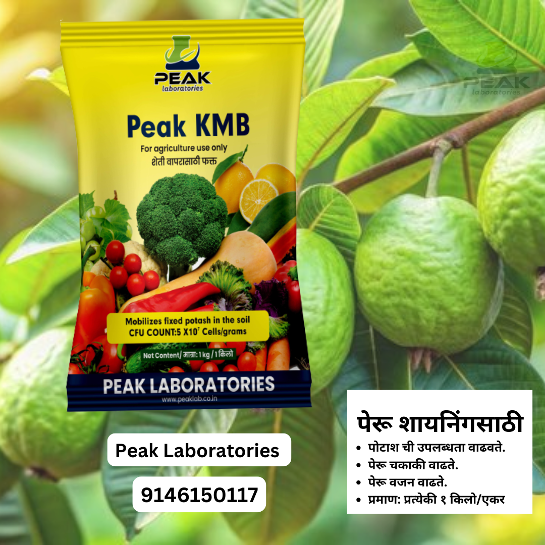 Guava Biofertilizer Kit पेरू जीवाणू खते कीट