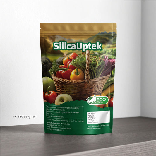 Buy Silicate Solubilizing Bacteria Powder 
